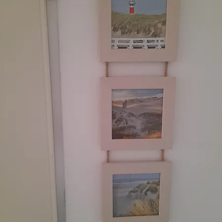 Seasant 니우포르트